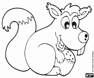 για ζωγραφική Σκίουρος και ένα βελανίδι