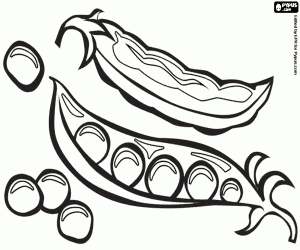 για ζωγραφική Τα μπιζέλια και λοβούς μπιζελιών