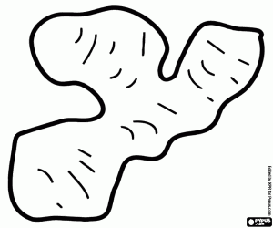 για ζωγραφική Τζίντζερ, ένα ριζόμε