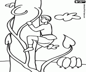 για ζωγραφική Τζακ και η Φασολιά