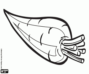 για ζωγραφική Το καρότο, μια ρίζα, λαχανικό