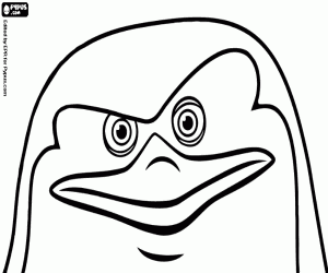 για ζωγραφική Το πρόσωπο του Skipper