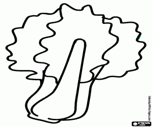 για ζωγραφική Το σέσκουλο, ένα βρώσιμο φυτό