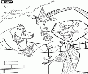 για ζωγραφική Τούρτα γενεθλίων για Marty