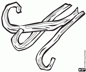 για ζωγραφική Τρία λοβό της βανίλιας