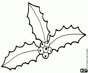 για ζωγραφική Τρία φύλλα αρκουδοπούρναρο με φρούτα