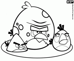 για ζωγραφική Τρεις θυμωμένος πουλιά, Angry Birds