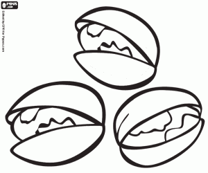 για ζωγραφική Τρεις φιστίκια με κέλυφος